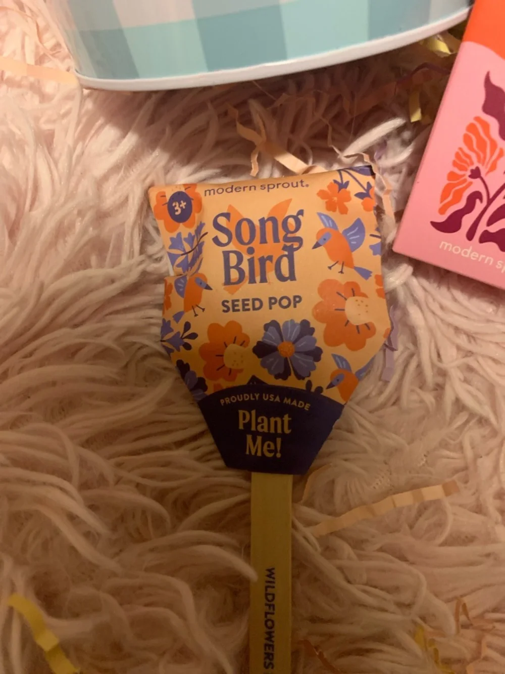 Sunflower grow kit seed key bundle